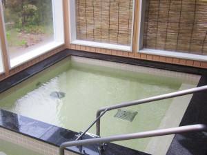 低温浴